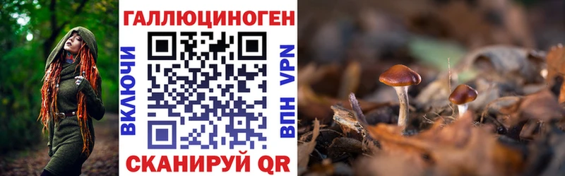 Галлюциногенные грибы Magic Shrooms  гидра ссылки  Абакан 
